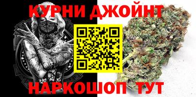 гидра Краснознаменск