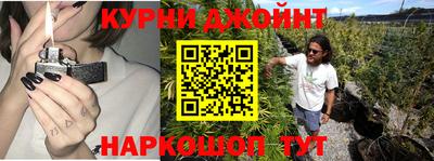 гидра Краснознаменск