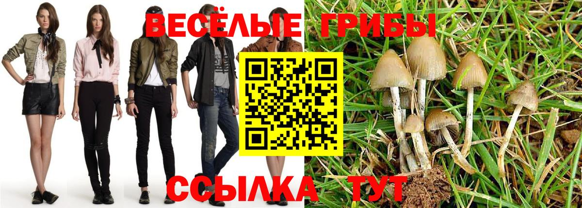 Псилоцибиновые грибы Psilocybine cubensis  Вход с VPN  что такое наркотик  Ишимбай 